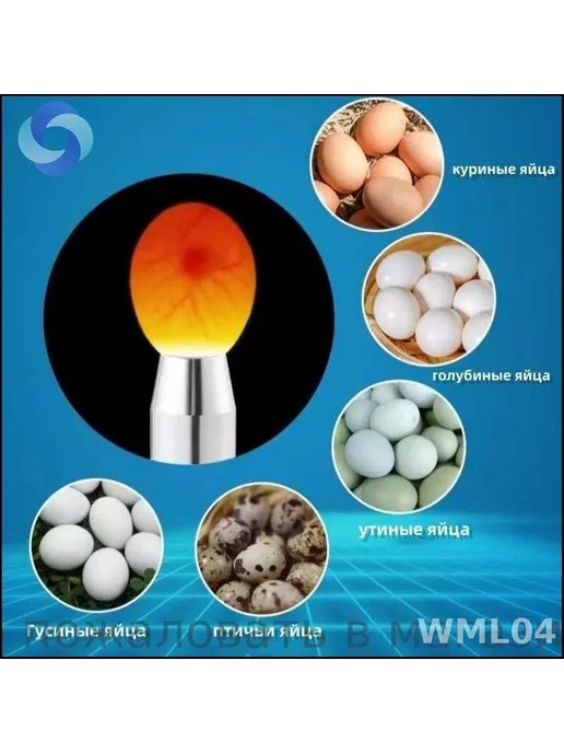 Инкубаторы и овоскопы для яиц овоскоп для проверки яиц мощны, вариант, фото 6