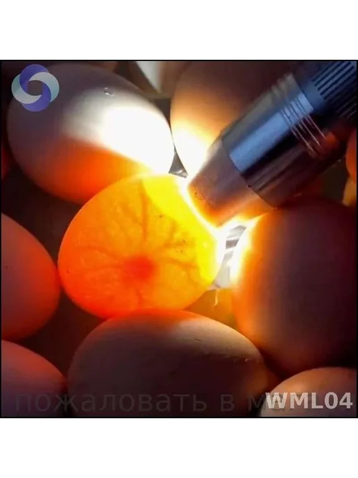 Инкубаторы и овоскопы для яиц овоскоп для проверки яиц мощны, вариант, фото 7