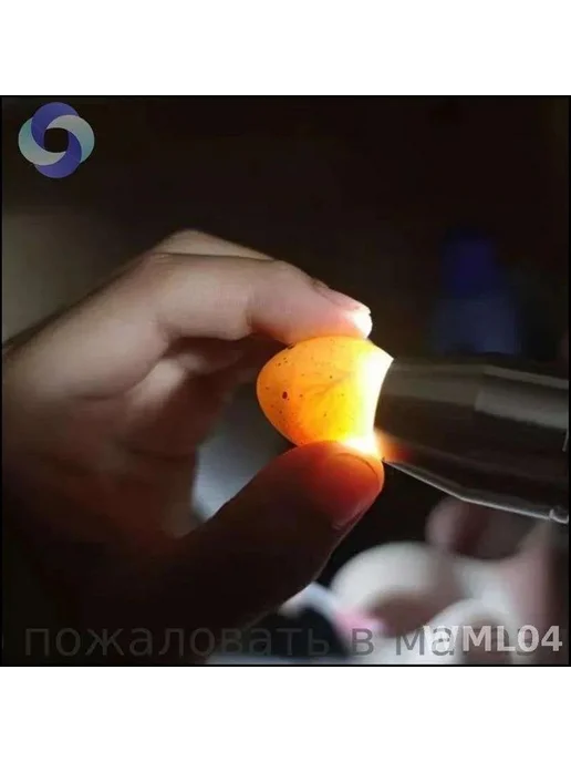 Инкубаторы и овоскопы для яиц овоскоп для проверки яиц мощны, вариант, фото 8