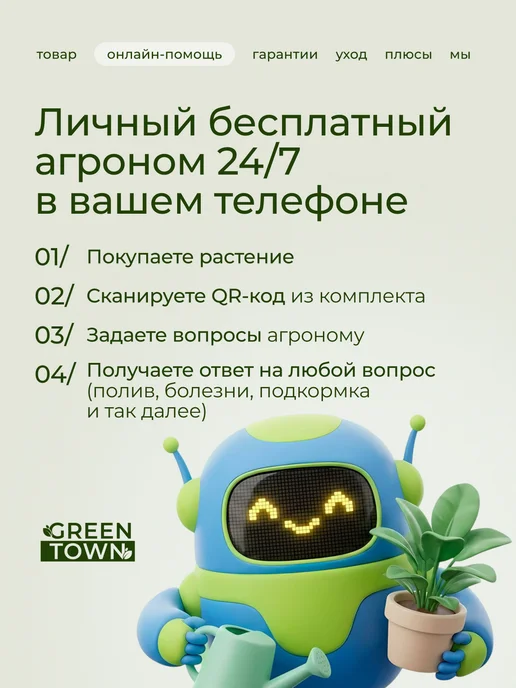 GREEN TOWN Орхидея Фаленопсис Звездная Луна живое растение, зеленый, фото 4