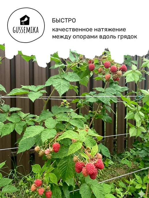 GUSSEMIKA Садовая система для подвязки растений 6м, 6 м, фото 2
