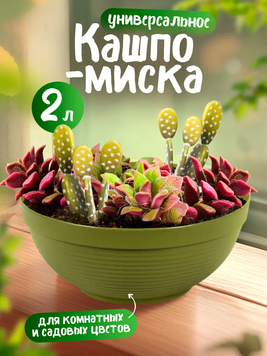 Кашпо-миска для комнатных и садовых цветов 2 л