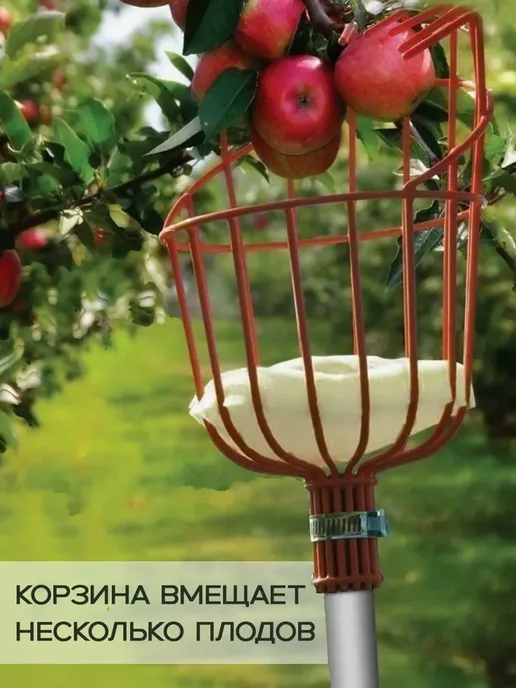 Плодосъемник для фруктов, корзина из металла, красный, фото 2