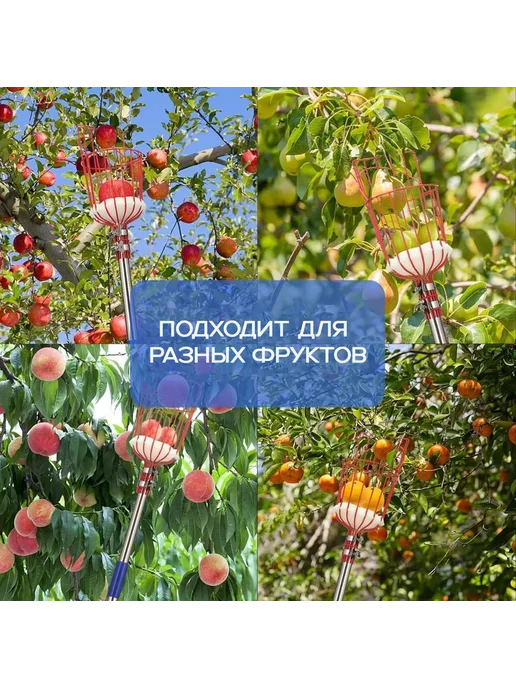 Плодосъемник для фруктов, корзина из металла, красный, фото 3