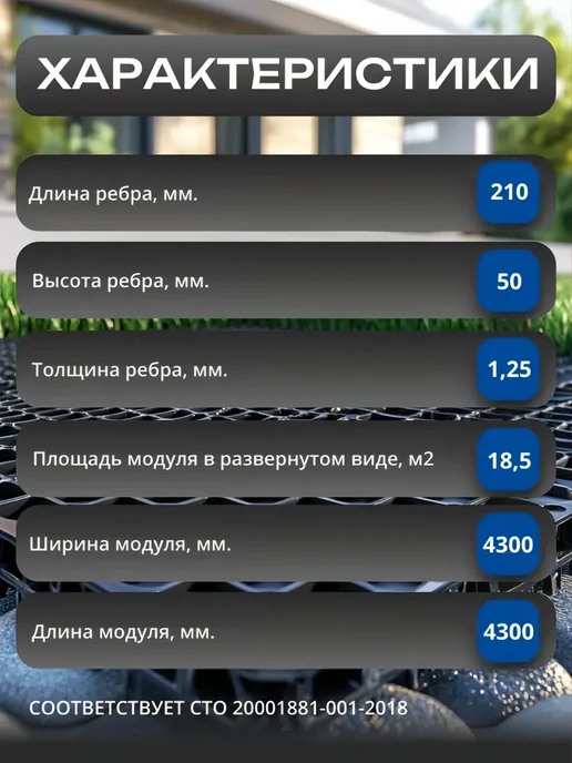 Георешетка под щебень для газона, парковки 5 см (50мм), вариант, фото 2