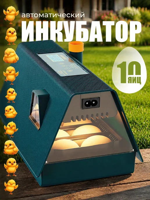 Инкубатор для яиц автоматический с терморегулятором, вариант