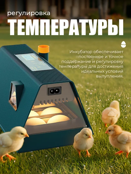 Инкубатор для яиц автоматический с терморегулятором, вариант, фото 3