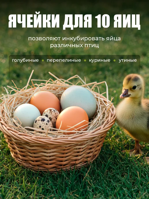 Инкубатор для яиц автоматический с терморегулятором, вариант, фото 4
