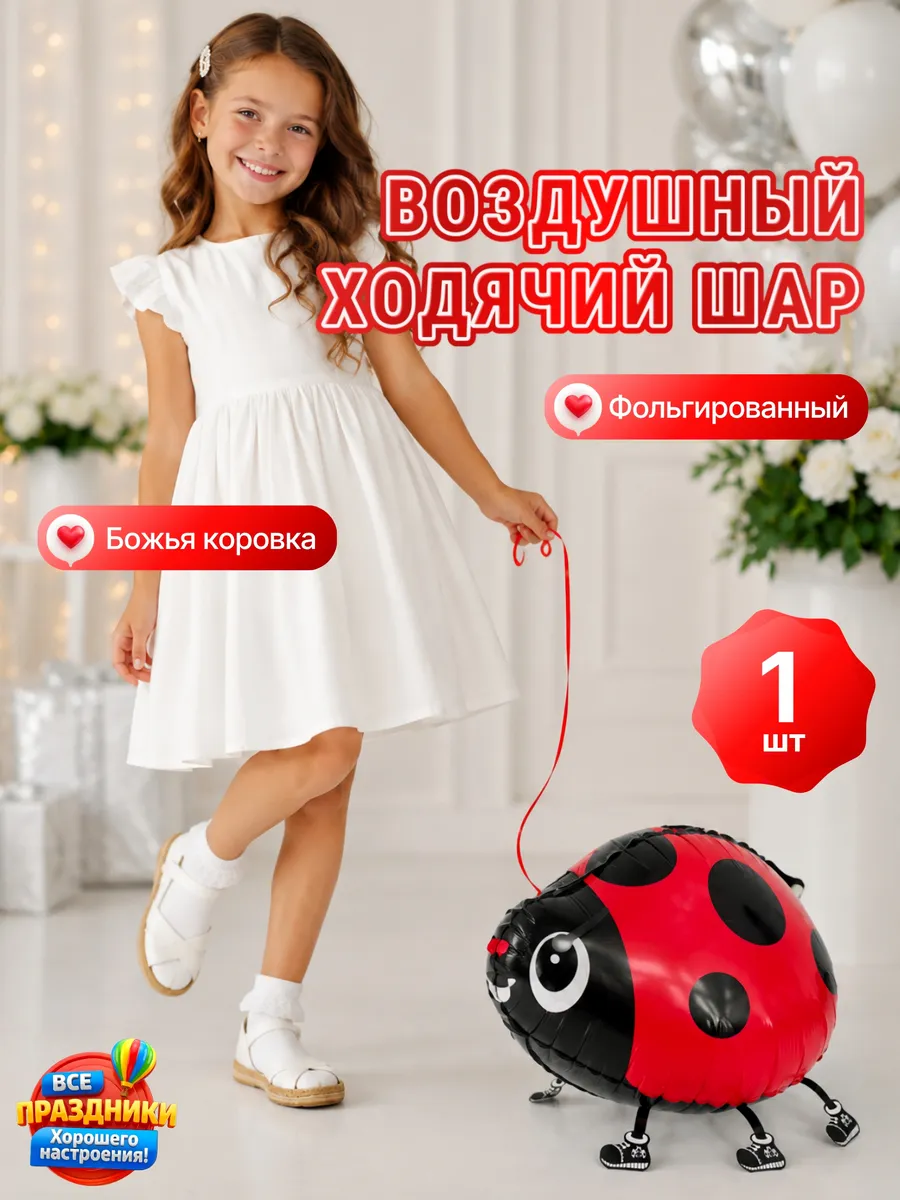 Воздушный шар Божья Коровка