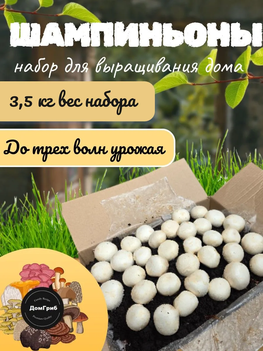 Набор для выращивания шампиньонов 3,5 кг