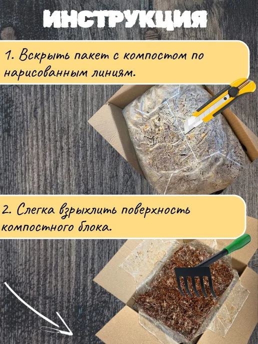 Сибирский Мицелий Набор для выращивания шампиньонов 3,5 кг, 3,5 кг, фото 4