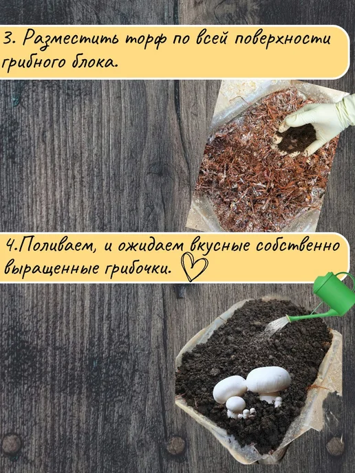 Сибирский Мицелий Набор для выращивания шампиньонов 3,5 кг, 3,5 кг, фото 5