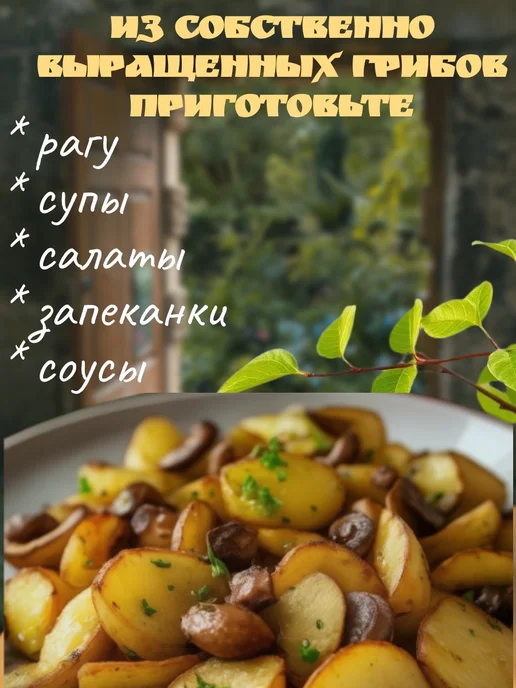 Сибирский Мицелий Набор для выращивания шампиньонов 3,5 кг, 3,5 кг, фото 6