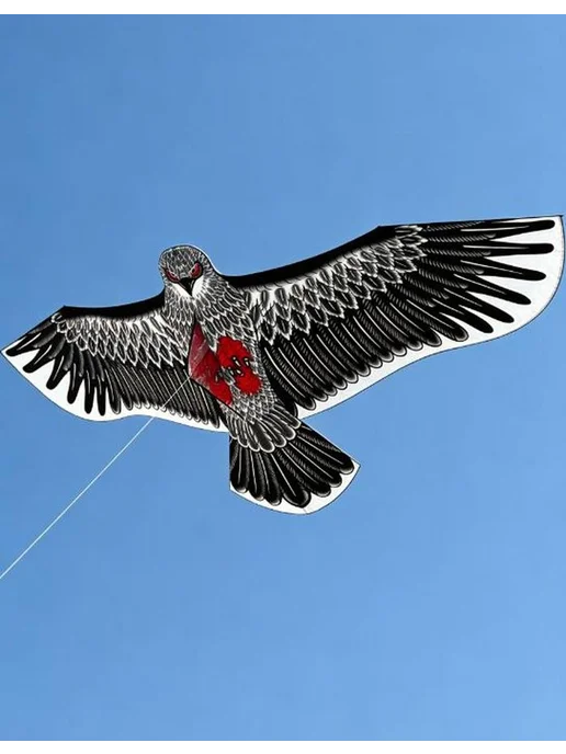 воздушный змей, вариант, фото 3
