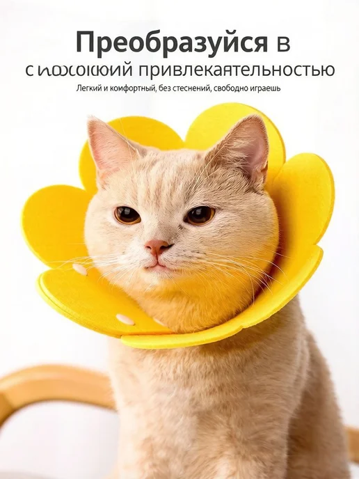 Мягкий фетровый елизаветинский воротник M для кошек и собак, вариант, фото 3