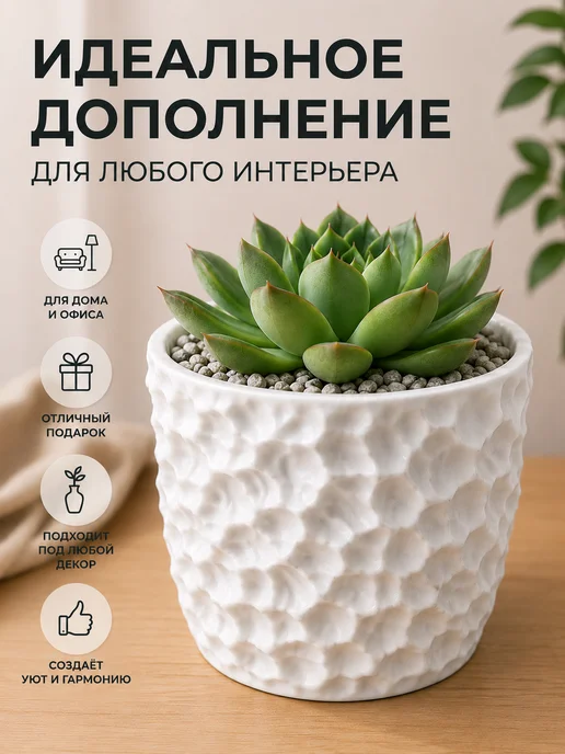 Кашпо для суккулентов и кактусов 6 см белое декоративное, белый, фото 3