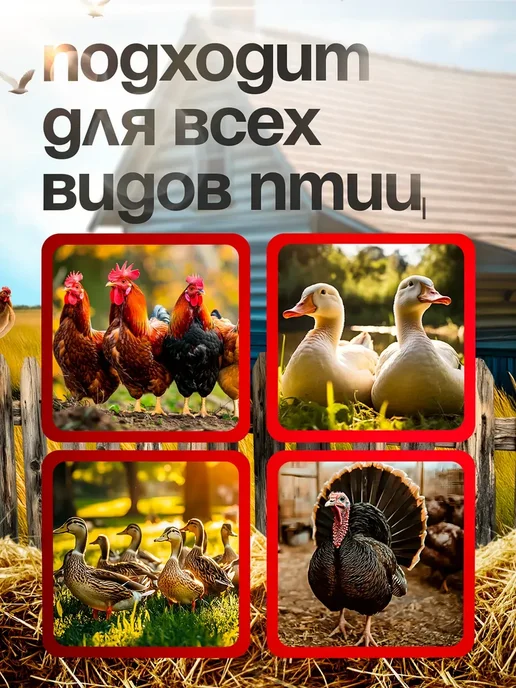 Перосъёмная машина для чистки перьев у уток, курей, черный, фото 5