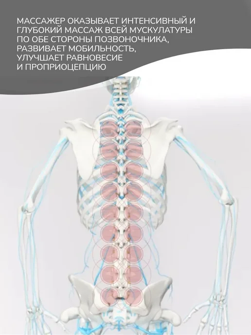 Массажер для спины и тела SPINEFITTER, зеленый, фото 7