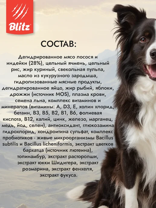 Сухой корм BLITZ для собак, взрослые, чувствительное пищеварение, лосось, 0,5 кг, фото 4