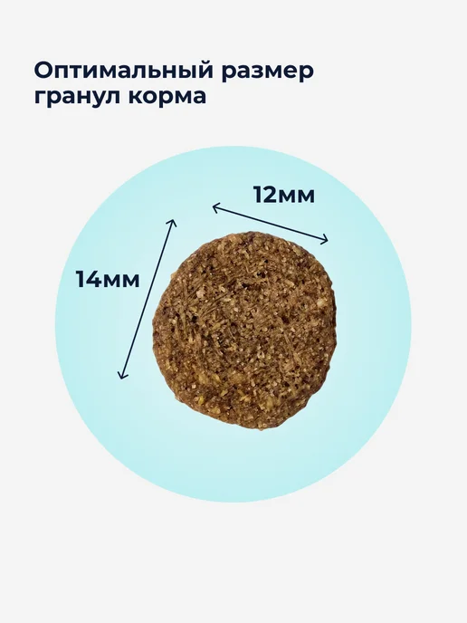 Сухой корм Organix для собак, взрослые, крупные, средние, 3 кг, фото 3