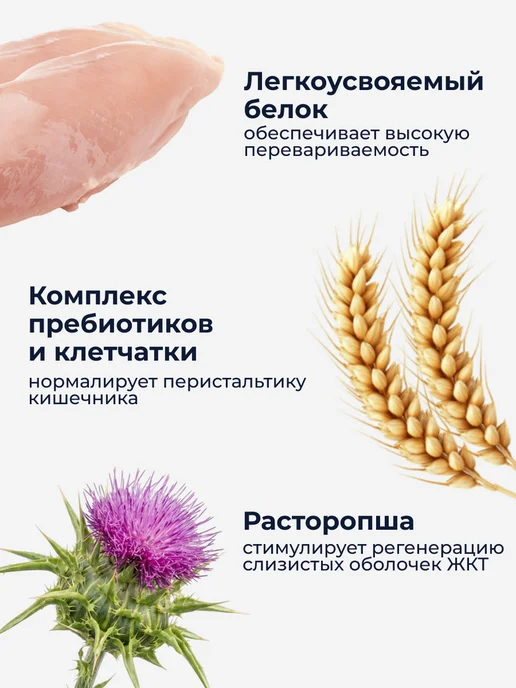 Сухой корм Organix Кошек Здоровья для собак, курица, 0,6 кг, фото 2
