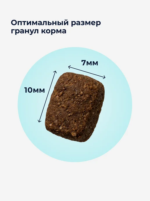 Сухой корм Organix Кошек Здоровья для собак, курица, 0,6 кг, фото 4
