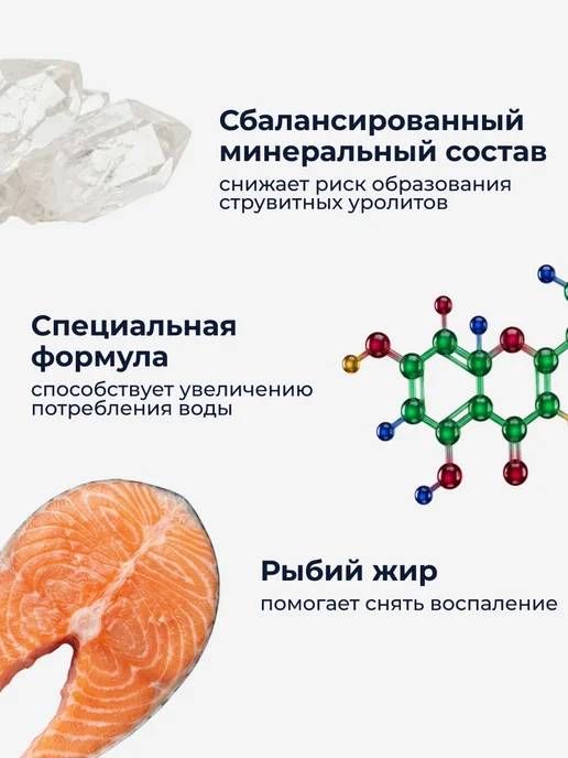 Сухой корм Organix Кошек Образования для собак, 0,6 кг, фото 2