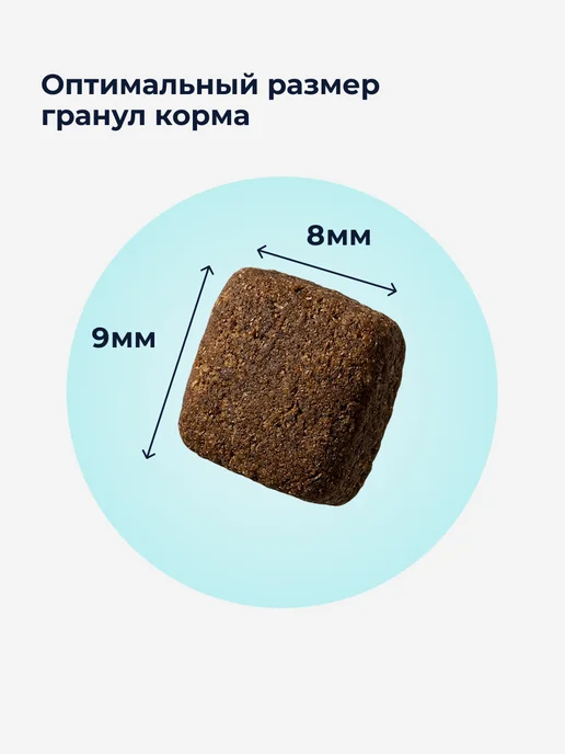 Сухой корм Organix Кошек Поддержания для собак, 0,4 кг, фото 4