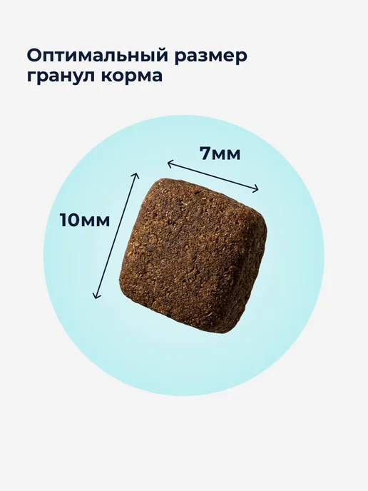 Сухой корм Organix Кошек При для собак, индейка, 0,6 кг, фото 4