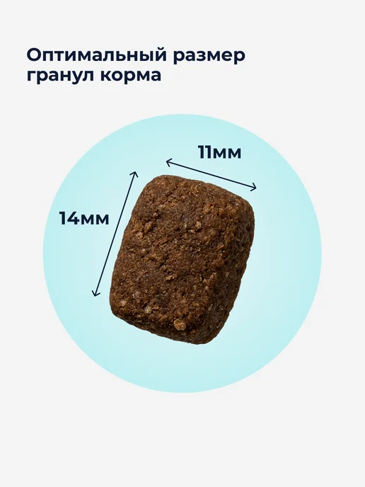 Сухой корм Organix При Пищевой для собак, индейка, 0,8 кг, фото 3