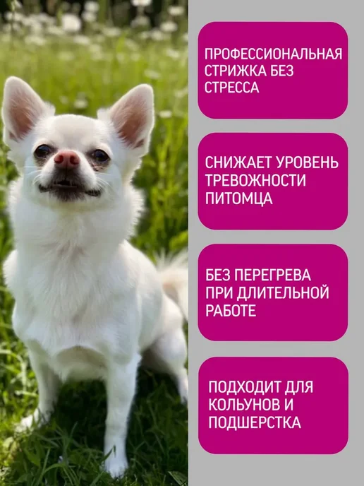 Профессиональный триммер для кошек и собак, белый, фото 2