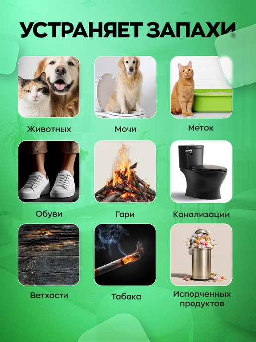 Clean box Нейтрализатор запаха животных пота мочи для дома кофе, вариант, фото 3