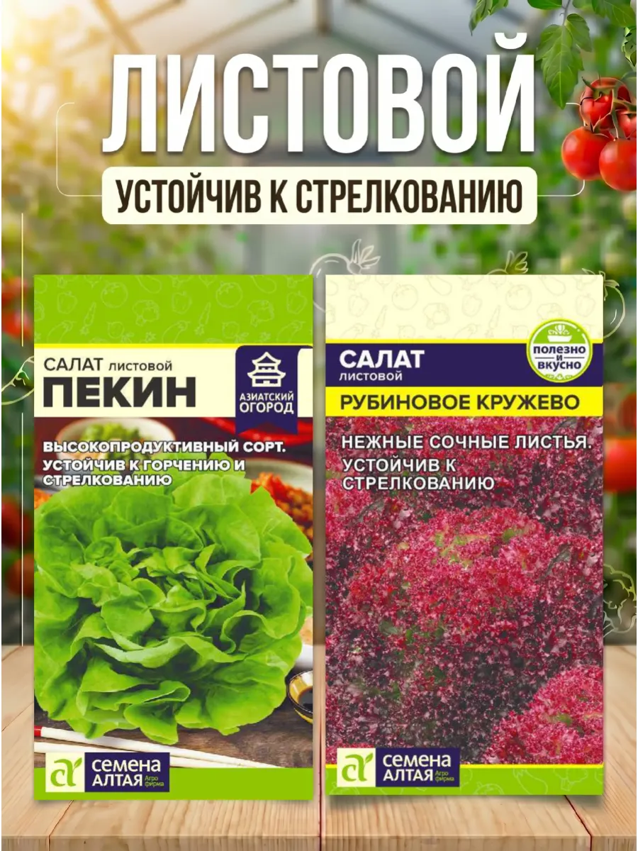 Семена салата листового раннеспелого