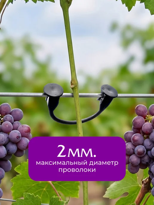 Surya-Market Набор для подвязки растений крючки 400шт, 50 шт, фото 2