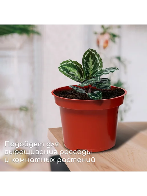 Горшок для рассады, коричневый, фото 3