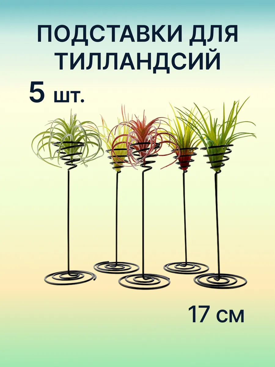 Подставка для тилландсий, 17 см, 5 шт