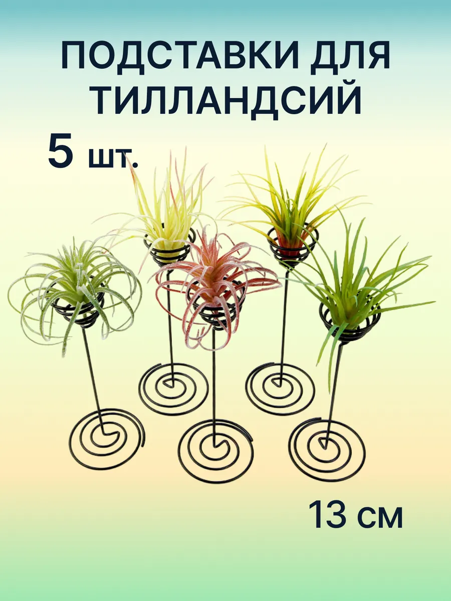 Подставка для тилландсий, 13 см, 5 шт