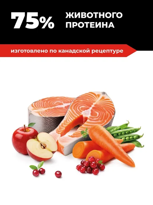 Сухой корм GO'KITCHEN Фрукты для собак, лосось, треска, 1,59 кг, фото 4