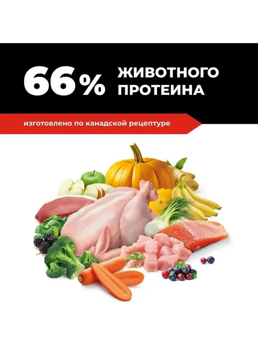 Сухой корм GO'KITCHEN для собак, индейка, курица, лосось, утка, 1,59 кг, фото 4
