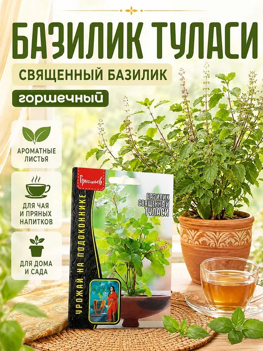 Григорьев Редкие семена Семена комнатного Базилика Туласи, зеленый