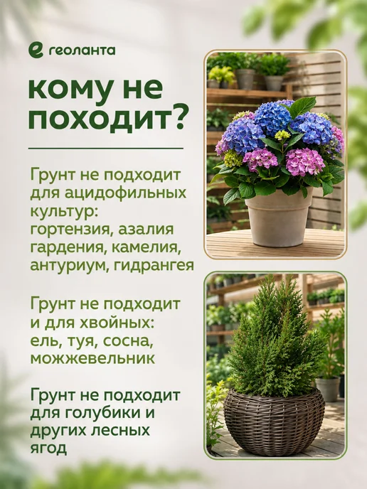 Грунт универсальный, земля для цветов 60л выгоднее 50, 60 л, фото 7