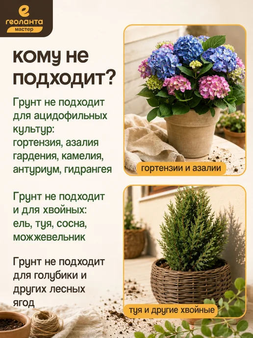Геоланта Грунт для цветов, земля универсальная 25 л, 25 л, фото 7