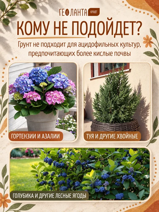 Геоланта Грунт универсальный, земля для цветов 20 литров, комнатных, фото 8