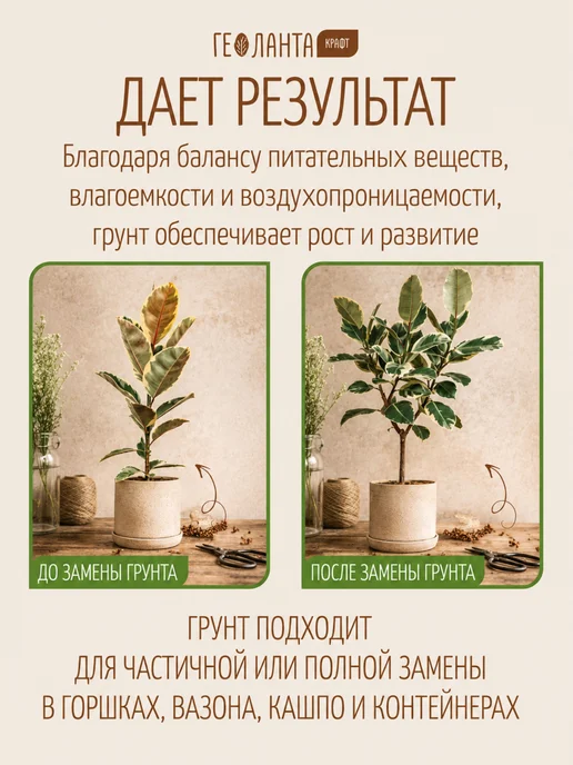 Геоланта Земля для цветов комнатных, грунт универсальный 5 литров, вариант, фото 3