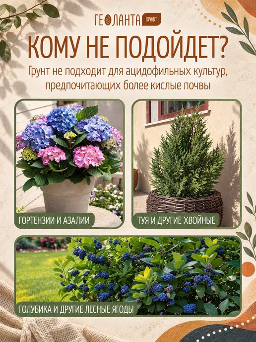 Геоланта Земля для цветов комнатных, грунт универсальный 5 литров, вариант, фото 8