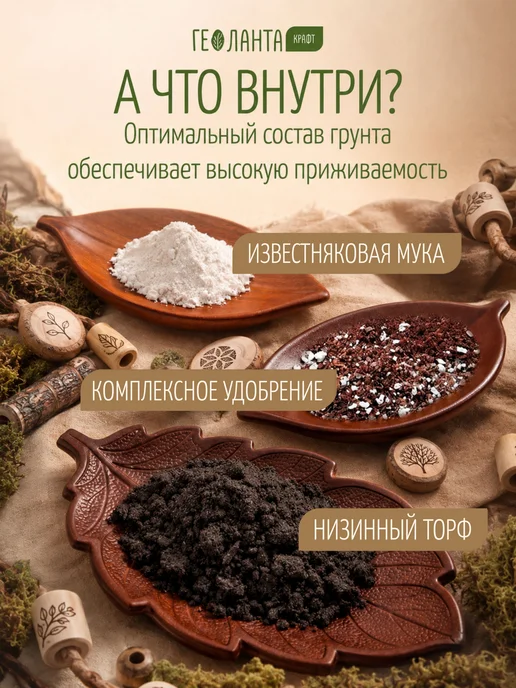 Геоланта Грунт универсальный, земля для цветов комнатных 10 литров, вариант, фото 5