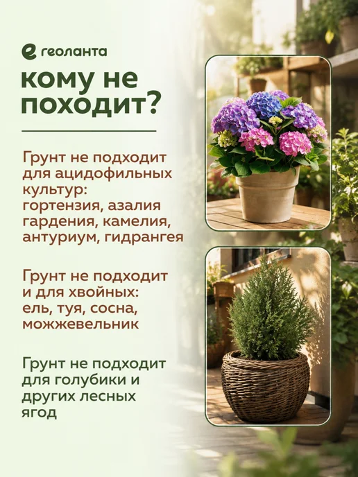 Земля для цветов комнатных, грунт 5 литров, торф нейтральный 25, фото 7