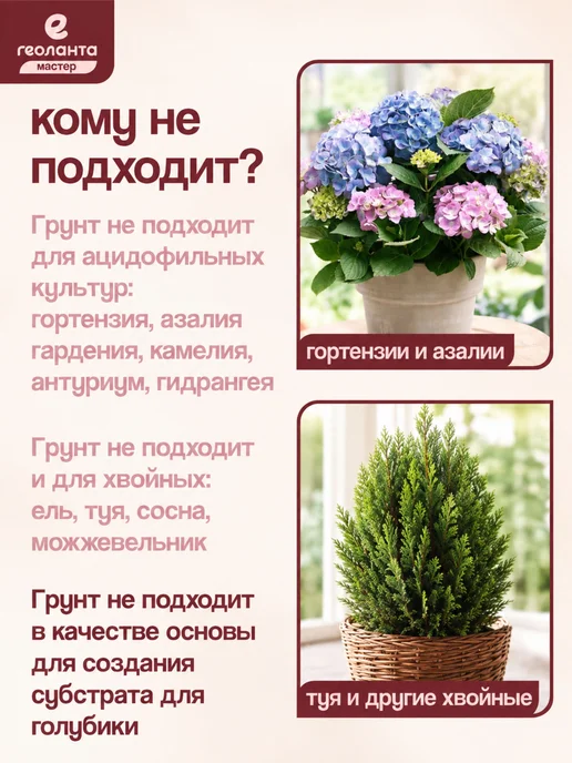 Земля для цветов комнатных, грунт 25 литров, Земля роз торф нейтральный, фото 7