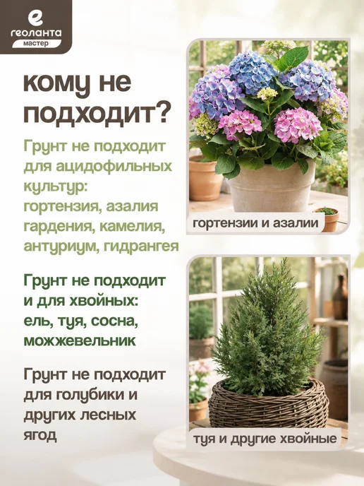 Земля для цветов комнатных, грунт 25 литров, Земля цветов комнатных торф, фото 7