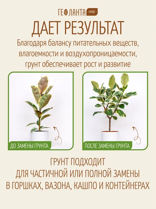Земля для цветов комнатных, грунт универсальный 5 литров, комнатных грунт универсальный 5, фото 3